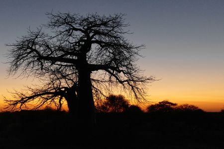 P1020475-2.jpg