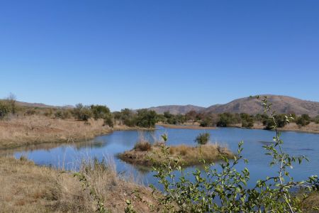 P1020631-2.jpg